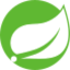 Spring logo